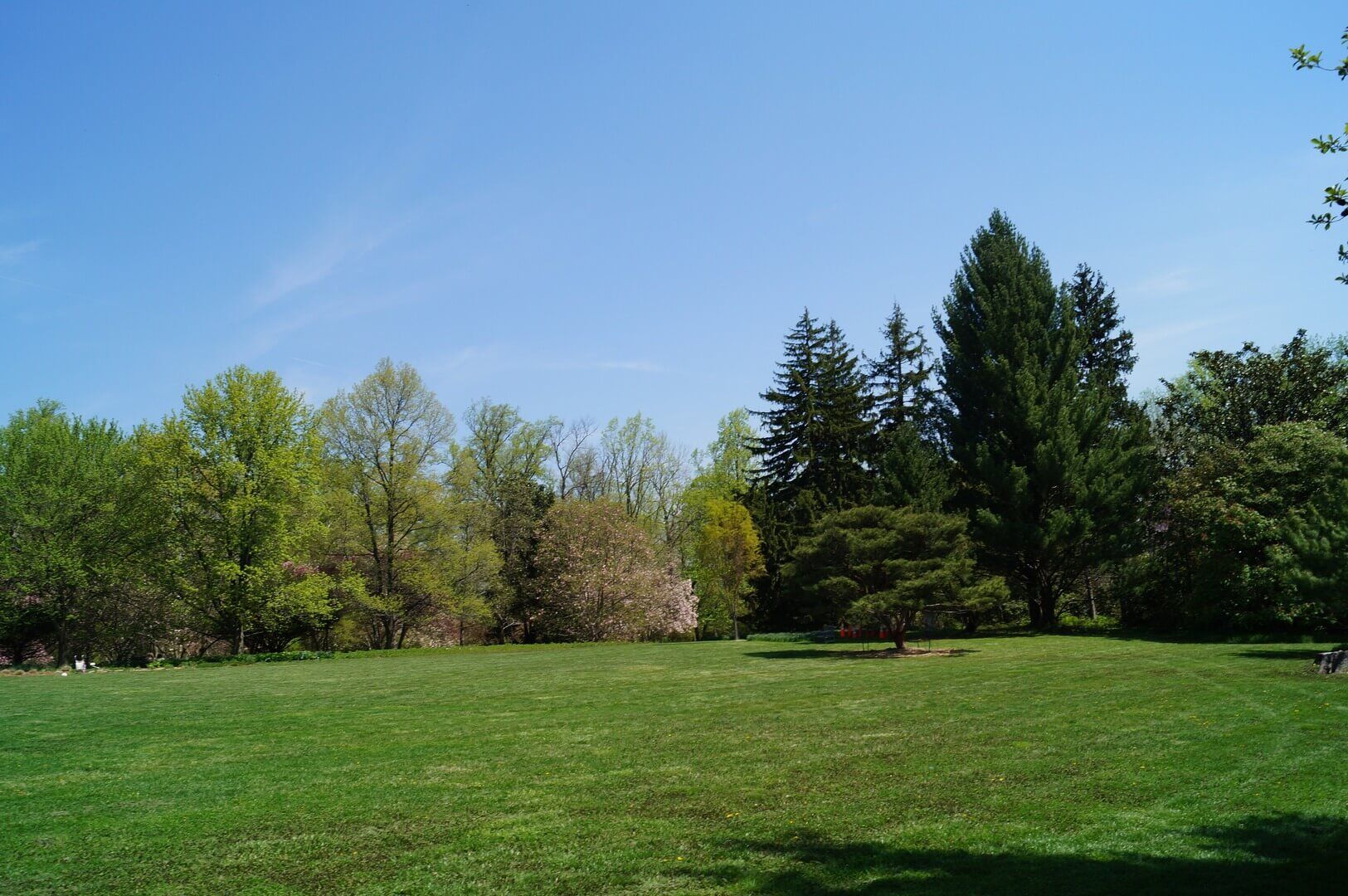 landscape-tree-nature-forest-grass-outdoor-1002194-pxhere.com (1) South Jersey Lawn Care Services